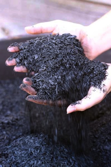 Flakes of carbon-rich biochar ready for digging in. PHOTO Adriana Downie, Pacific Pyrolysis)