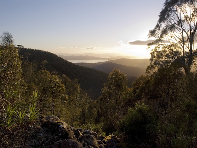 A sliceof Tasmanian mountain and coastal biodiversity: looking into the sunrise on Mount Welllington.