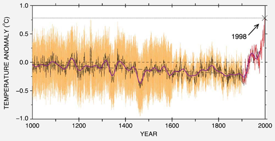 The “hockey-stick” graph as it appeared in the 1998 paper by Mann, Bradley and Hughes. The jagged red lines on the right represent the 20th century instrumental record. Growth rings of trees are the data source for the black and orange lines. The thick purple line is a 40-year smoothing.