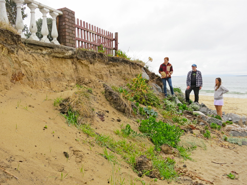(L to R) Climate activists Alice McGushin, Kimball Johnston and Rose Rimon-Kerr view coastal erosion near Bambra Reef, Roches Beach