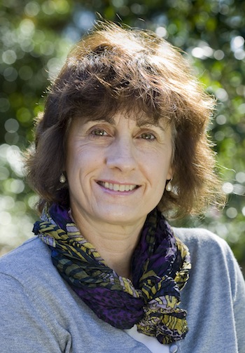 Professor Lesley Hughes, new chair of the Tasmanian Climate Action Council