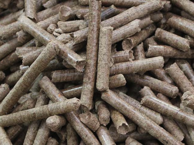 Finger-sized wood pellets made from plant material, mostly wood. Converted UK power plants will not use any other fuel. PHOTO biomass-energy.org