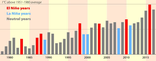 Annual average global surface temperatures over the past 40 years, derived from NASA, Copernicus and WMO data.