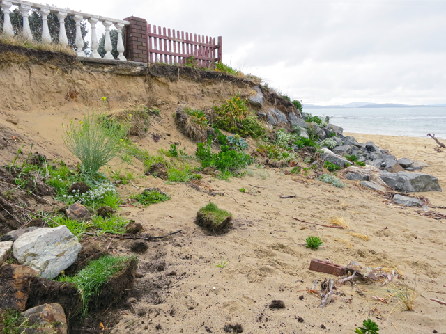 Roches Beach has been losing sand steadily since about 1980.