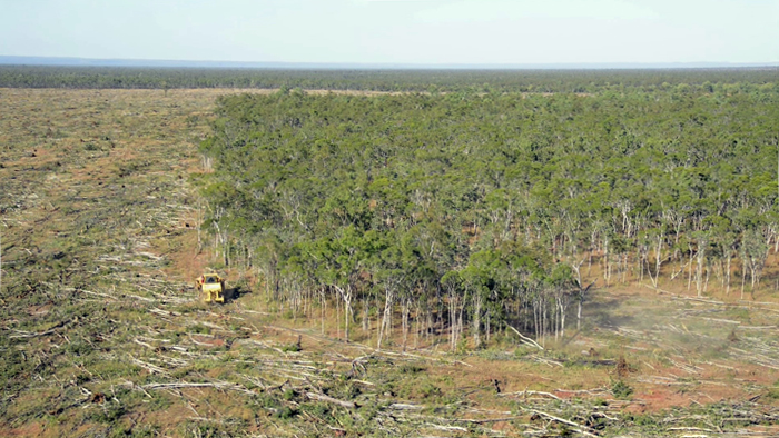 Land-clearing has been proceeding at a record pace in Queensland since restrictions were relaxed in 2013. PHOTO Kerry Trapnell/The Wilderness Society